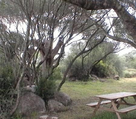 Les Bergeries D'Ogliastrello Villa Figari  Bagian luar foto