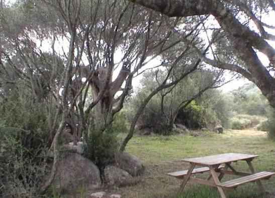 Les Bergeries D'Ogliastrello Villa Figari  Bagian luar foto